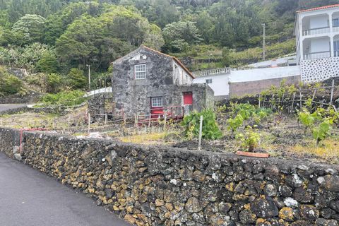 Ruinere i Lajes do Pico, Pico, Lajes do Pico - € 85.000 | Ref: 374240054 - foto 3